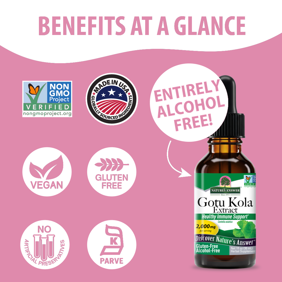 Gotu Kola Extract - Alcohol Free Liquid