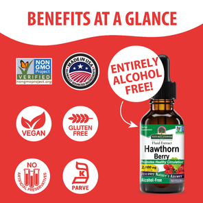 Hawthorn Extract - Alcohol Free Liquid