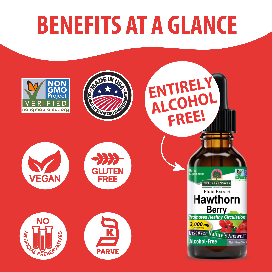 Hawthorn Extract - Alcohol Free Liquid