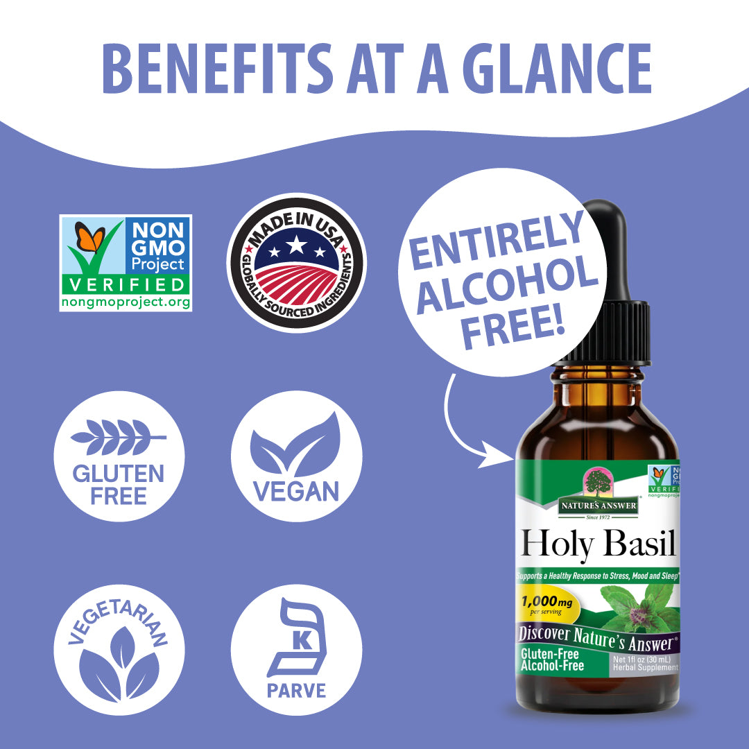 Holy Basil - Alcohol Free Liquid