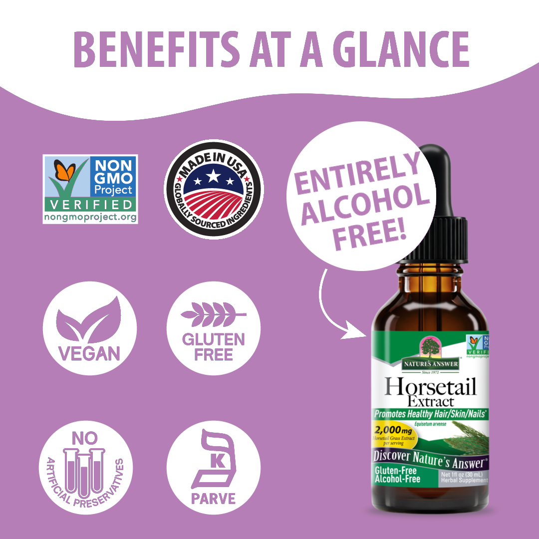 Horsetail Extract - Alcohol Free Liquid