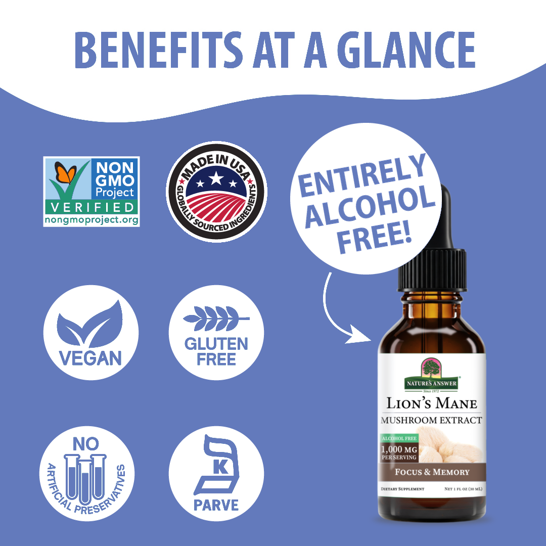 Lion's Mane Extract - Alcohol Free Liquid
