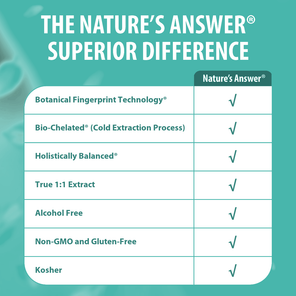 Liver Support - Alcohol Free Liquid