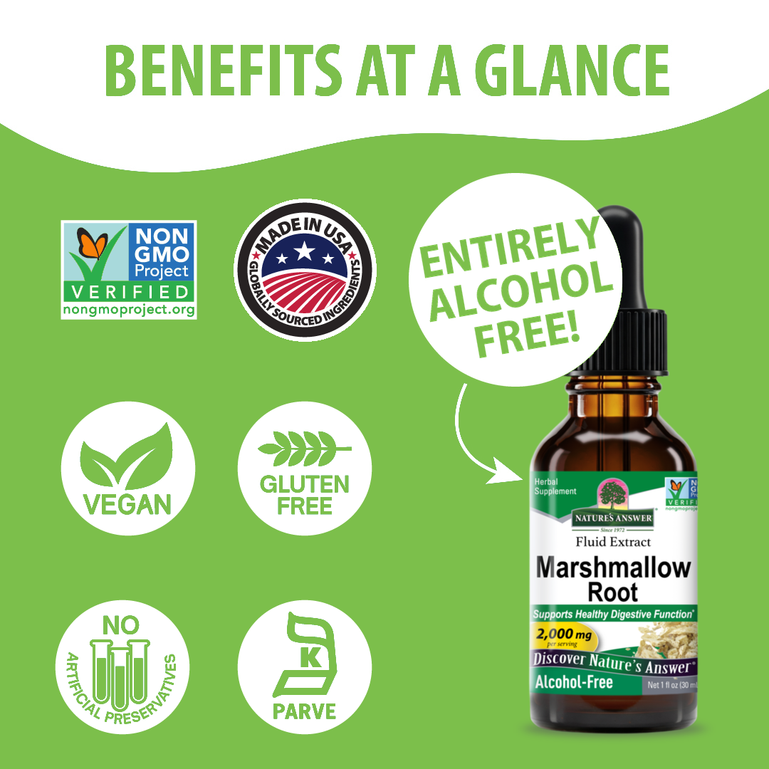 Marshmallow Root Extract - Alcohol Free Liquid
