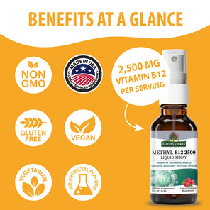 Methyl B-12 2500mcg - Liquid Spray