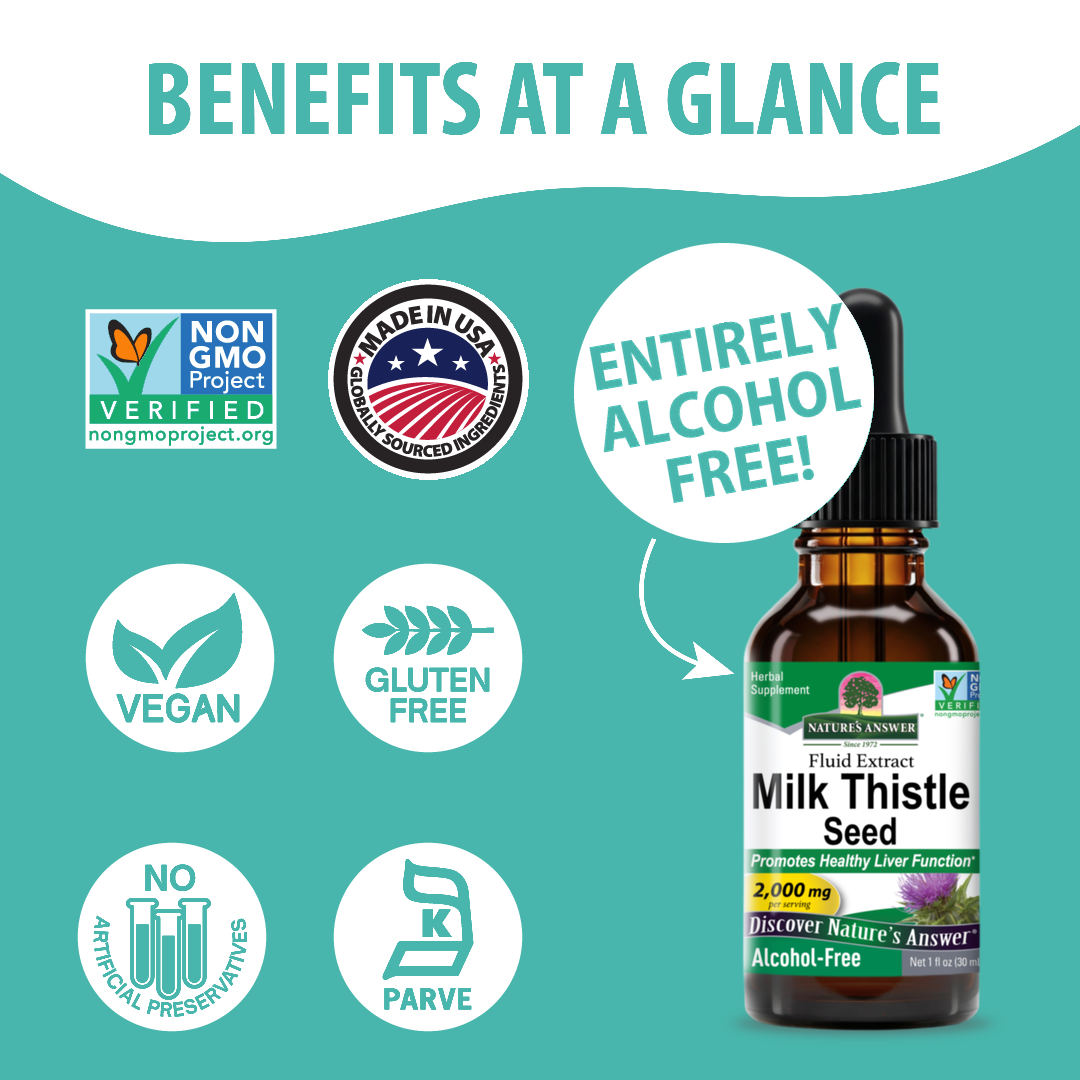 Milk Thistle Extract - Alcohol Free Liquid