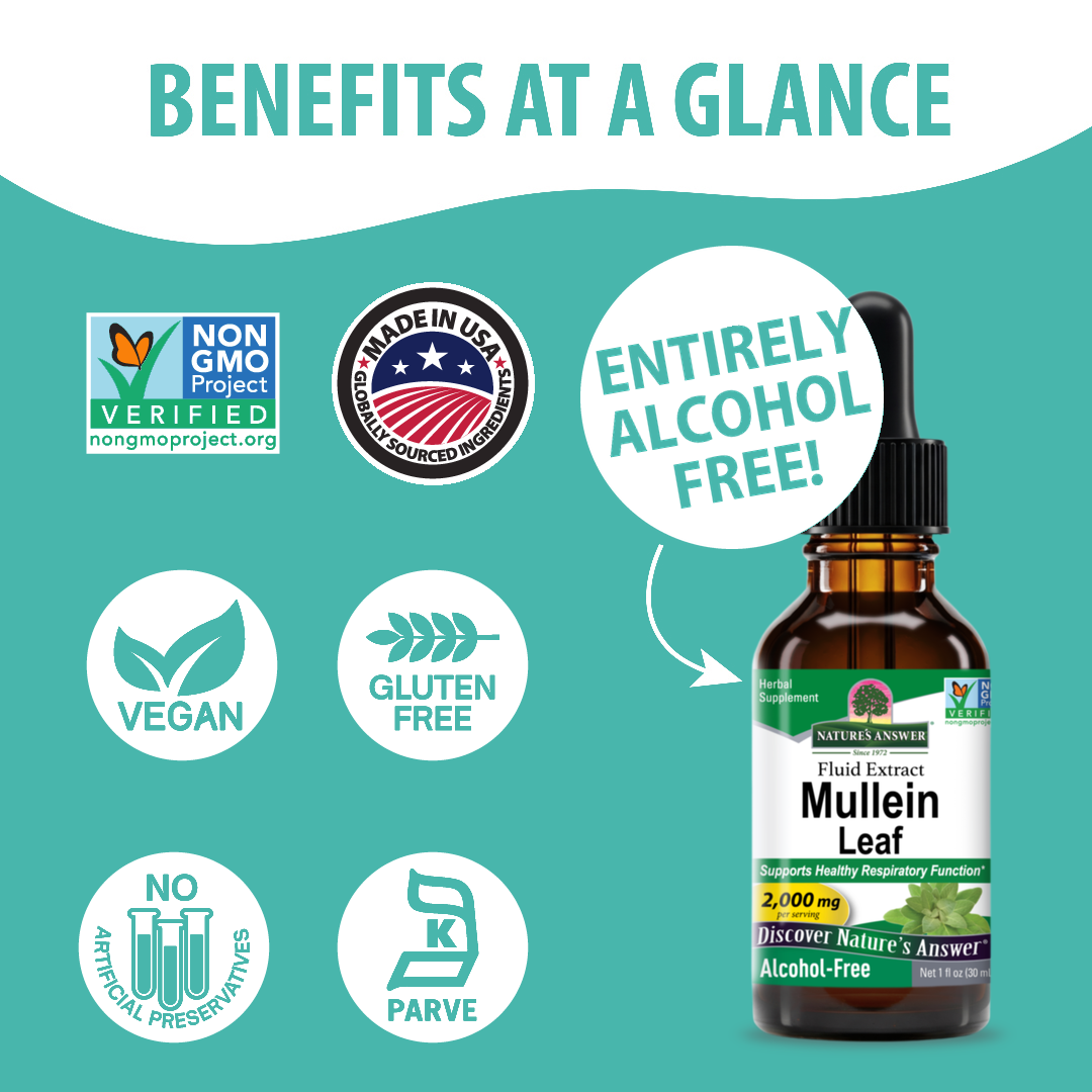 Mullein Extract - Alcohol Free Liquid