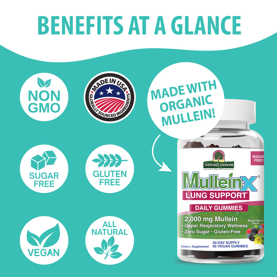 Nature's Answer MulleinX Lung Support daily gummies bottle shown on a teal promotional graphic with icons and text highlighting benefits like non-GMO, made in USA, sugar free, gluten free, vegan, and all natural.