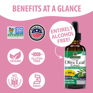 Olive Extract - Alcohol Free Liquid
