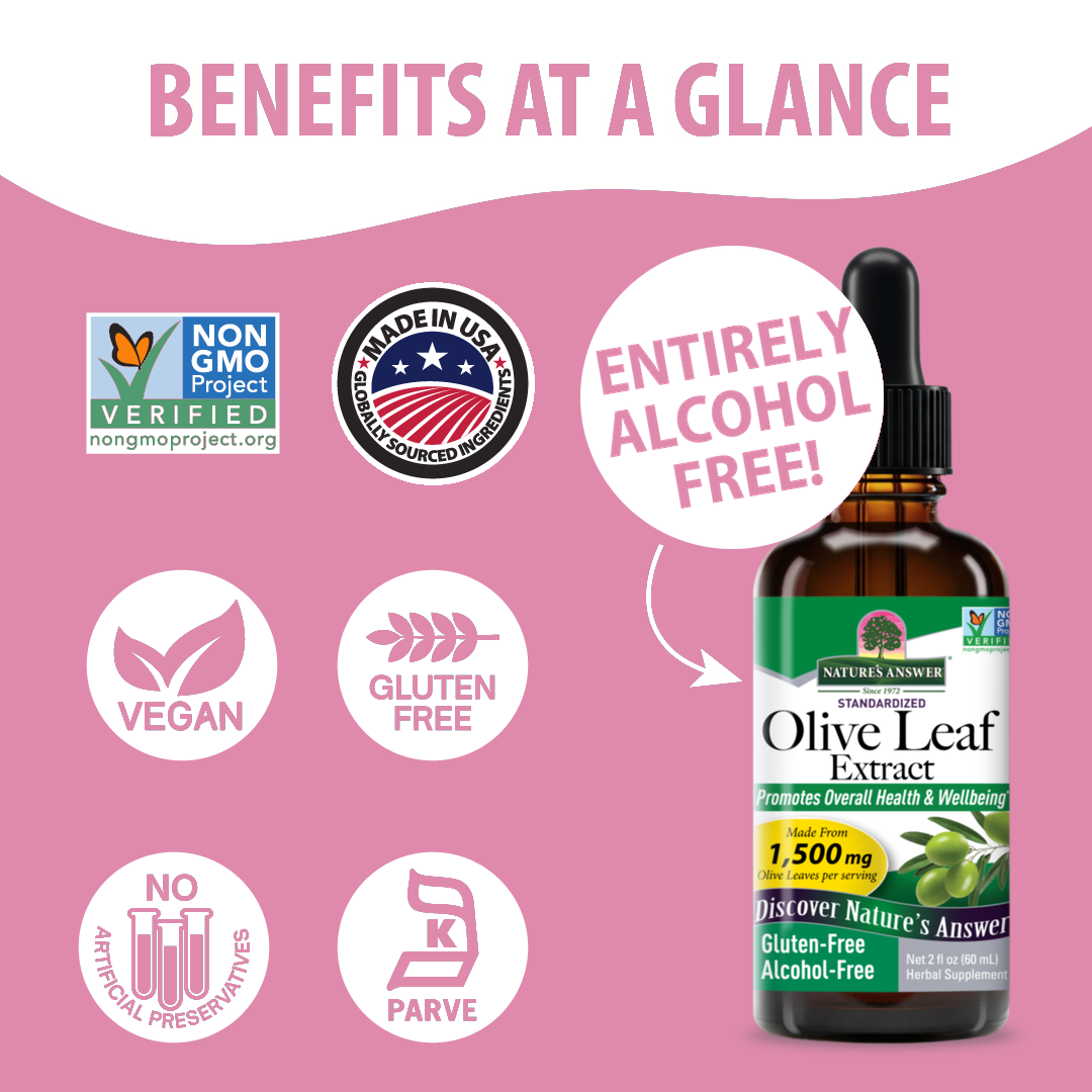 Olive Extract - Alcohol Free Liquid