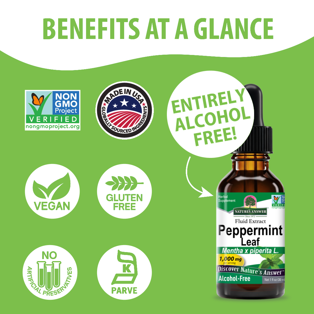 Peppermint Extract - Alcohol Free Liquid