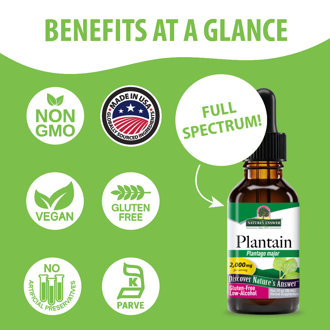 Plantain Extract - Low Alcohol Liquid