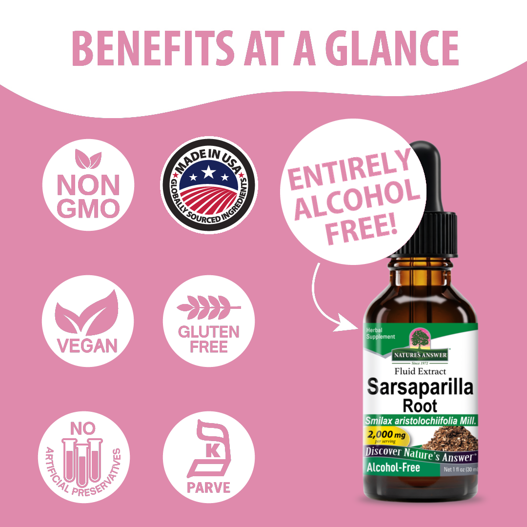 Sarsaparilla Extract - Alcohol Free Liquid