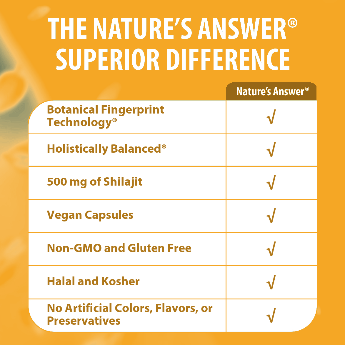 Shilajit - Veggie Capsules