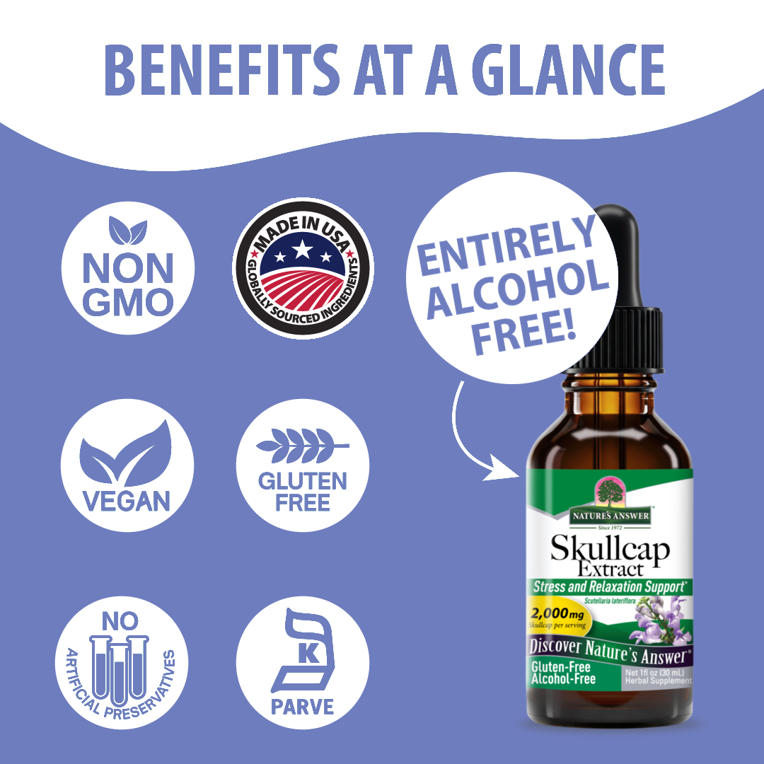Skullcap Extract - Alcohol Free Liquid