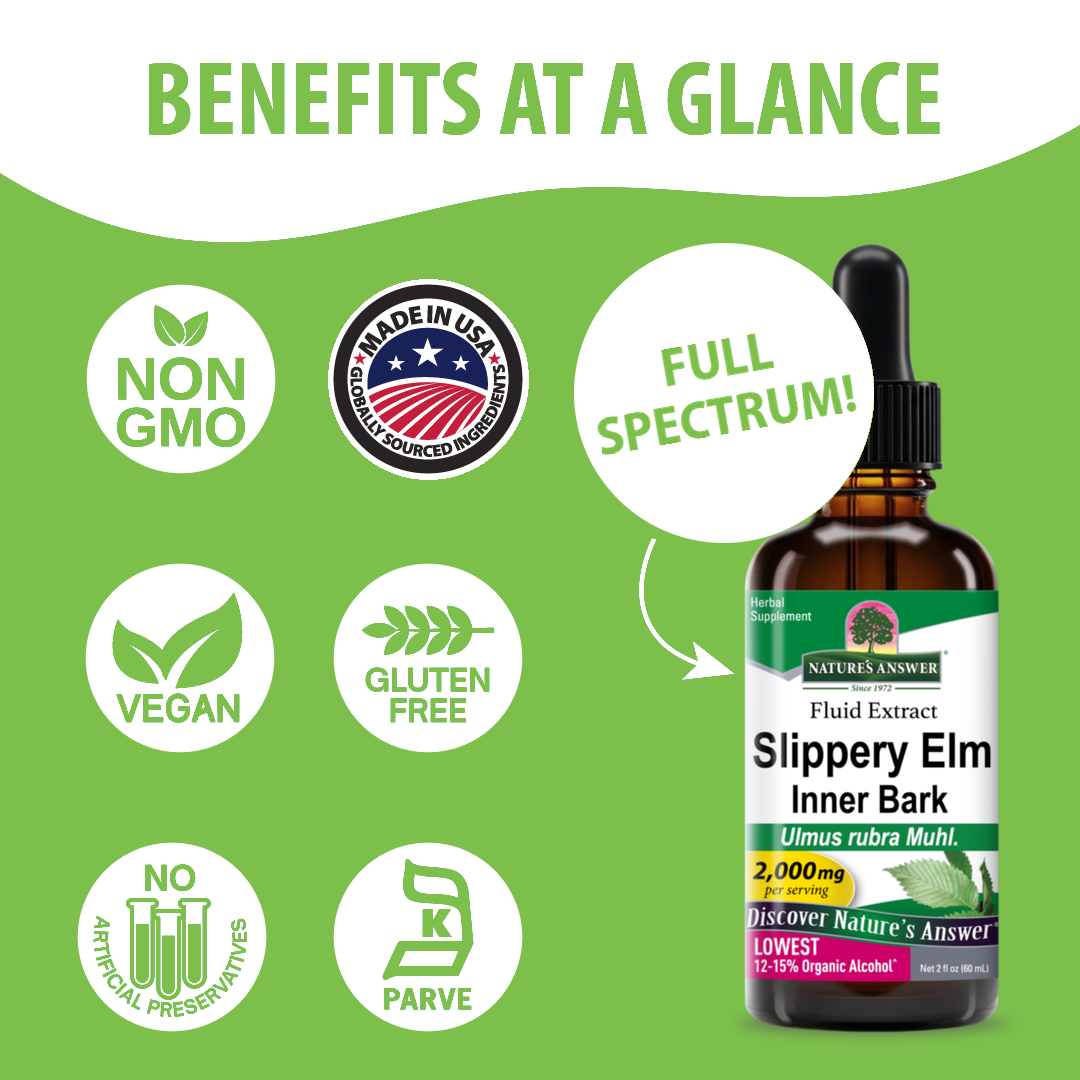 Slippery Elm Extract - Low Alcohol Liquid