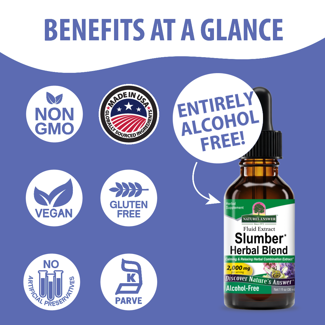 Slumber Herbal Blend - Alcohol Free Liquid
