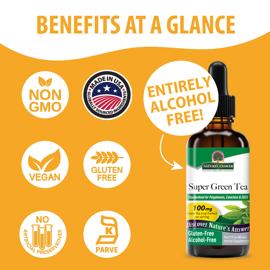 Super Green Tea Extract - Alcohol Free Liquid