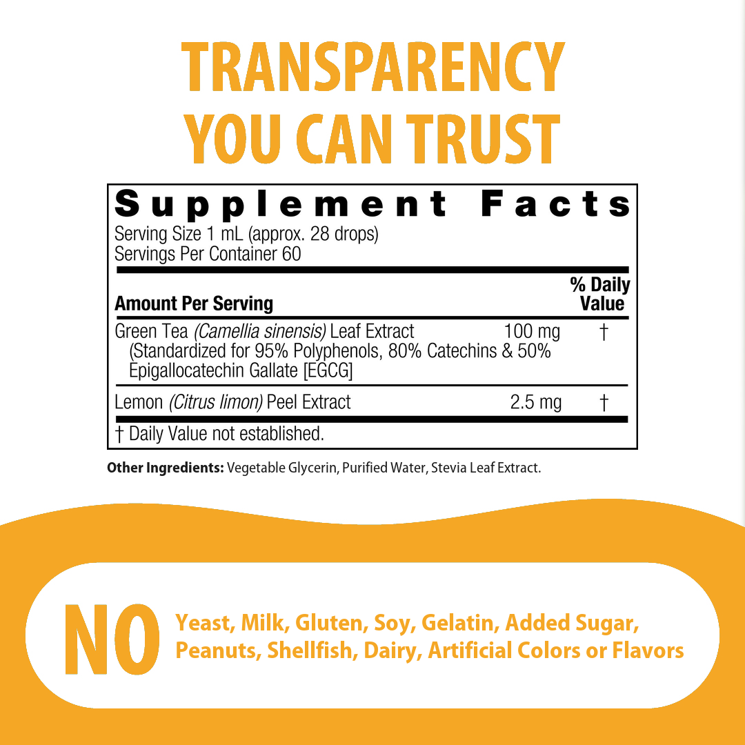 Super Green Tea Extract - Alcohol Free Liquid