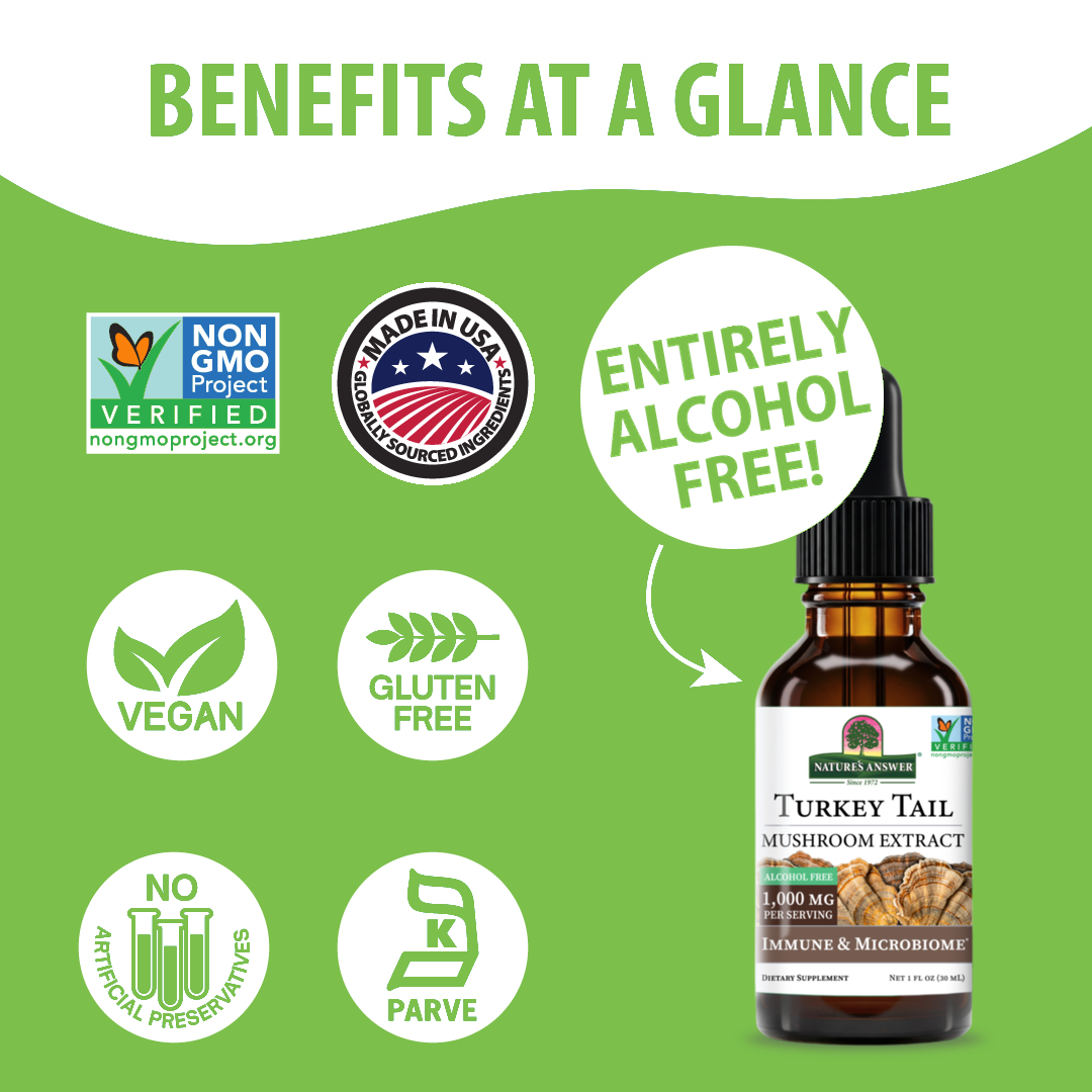 Turkey Tail Extract - Alcohol Free Liquid