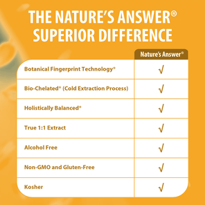 White Ginseng Extract - Alcohol Free Liquid