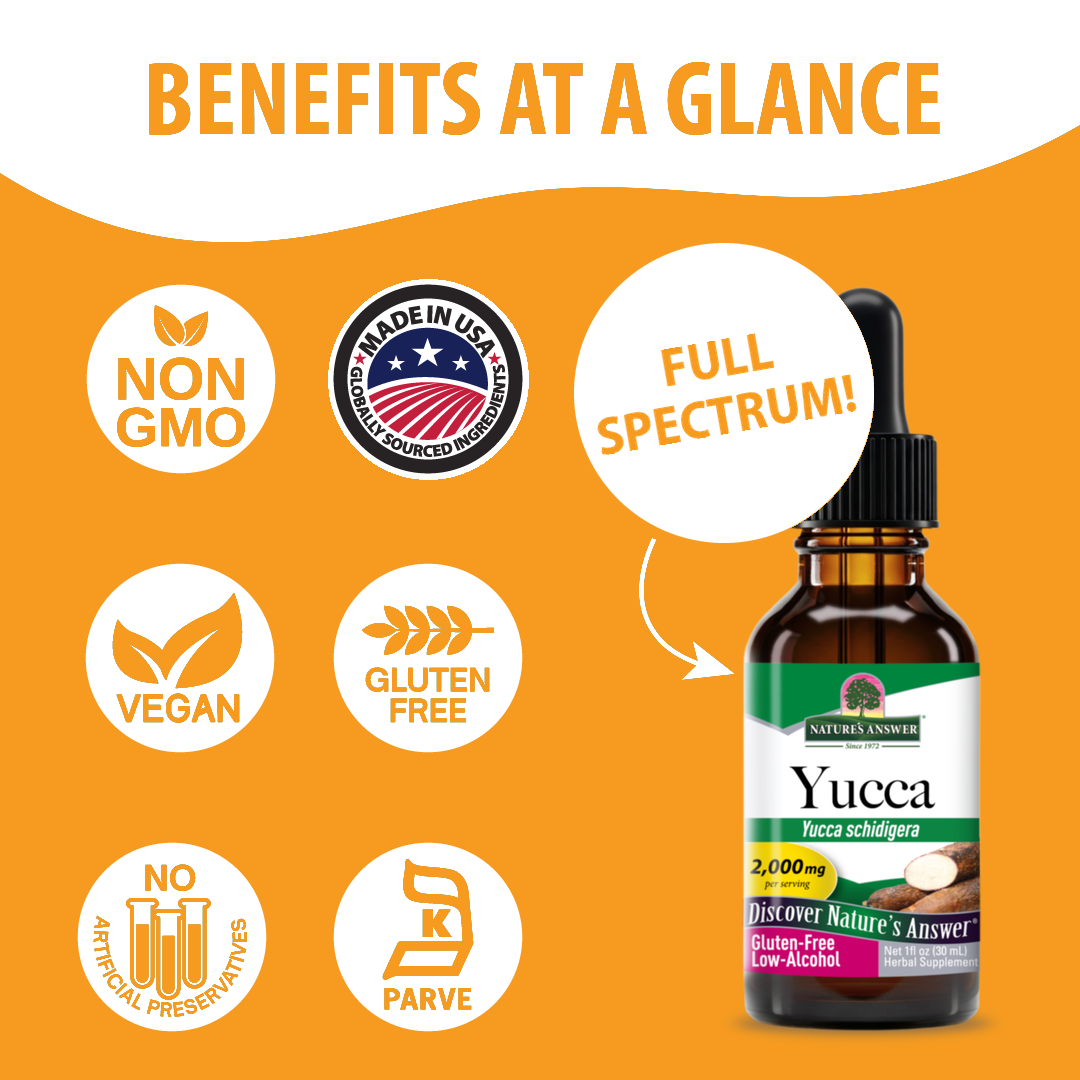 Yucca Extract - Low Alcohol Liquid