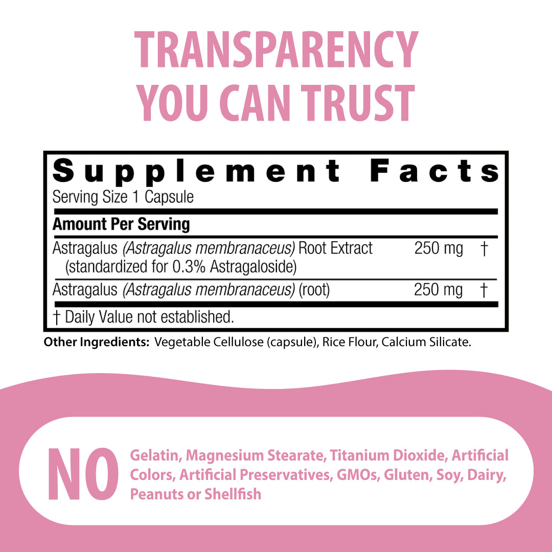 Astragalus Root Standardized - Veggie Capsules