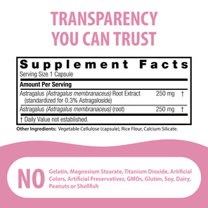 Astragalus Root Standardized - Veggie Capsules