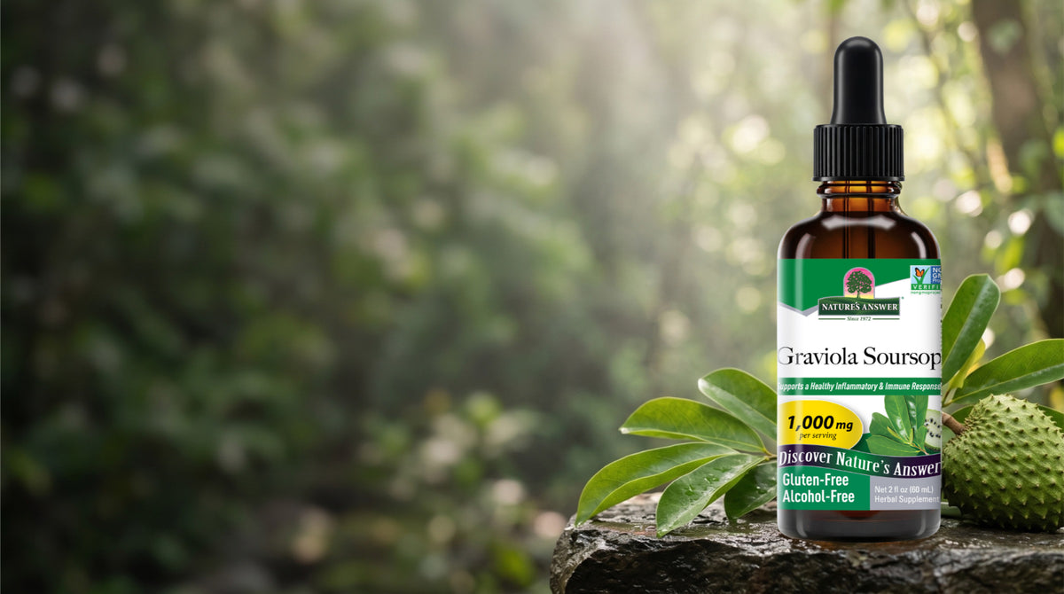 A bottle of Nature's Answers Graviola Soursop 1,000 mg liquid supplement, styled on a stone surface with green leaves and a fruit against a blurred forest background.