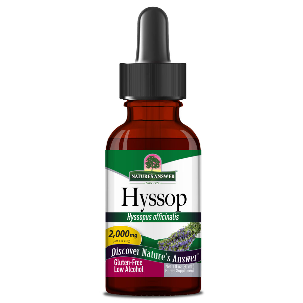 Hyssop 1084